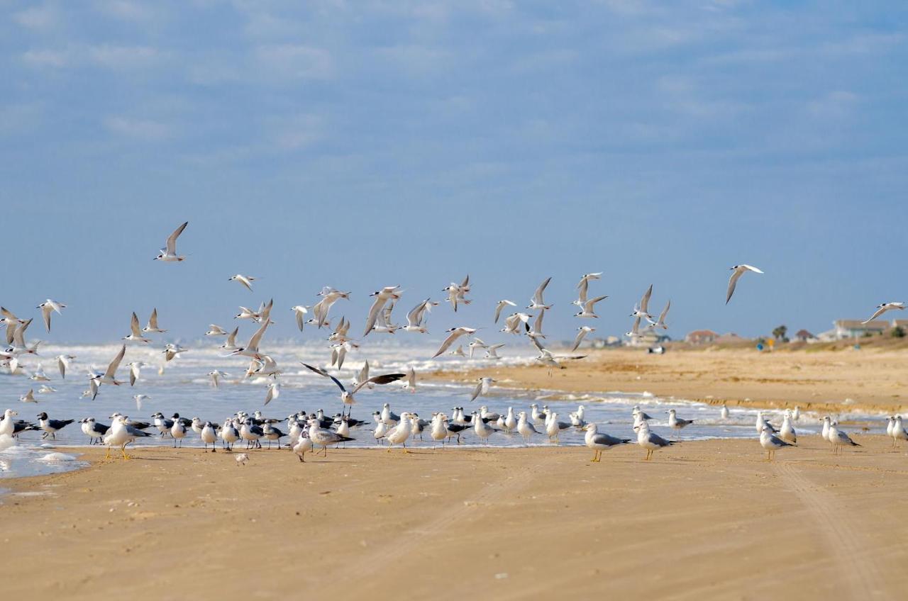 Willa Gulf Breeze Bolivar Peninsula Zewnętrze zdjęcie